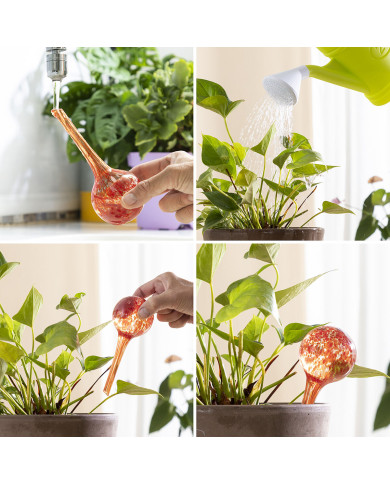 Automatic Watering Globes Ballwooters InnovaGoods 4 Units