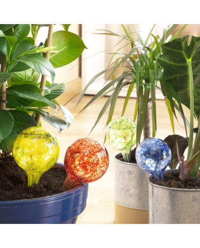 Automatic Watering Globes Ballwooters InnovaGoods 4 Units