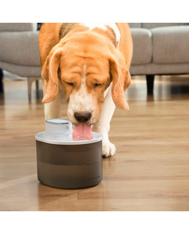 Rechargeable Cat Water Fountain with Sensor Refopet InnovaGoods