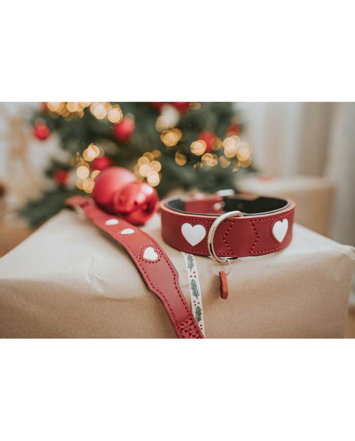 Dog collar Hunter Love Red XS 24-28 cm
