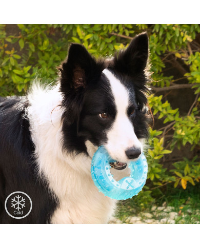 2-in-1 Freezable Pet Chew Toy Glubiz InnovaGoods