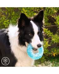 2-in-1 Freezable Pet Chew Toy Glubiz InnovaGoods