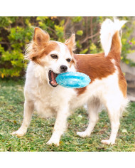 2-in-1 Freezable Pet Chew Toy Glubiz InnovaGoods