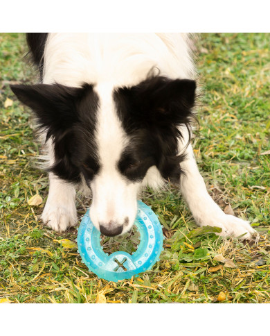 2-in-1 Freezable Pet Chew Toy Glubiz InnovaGoods