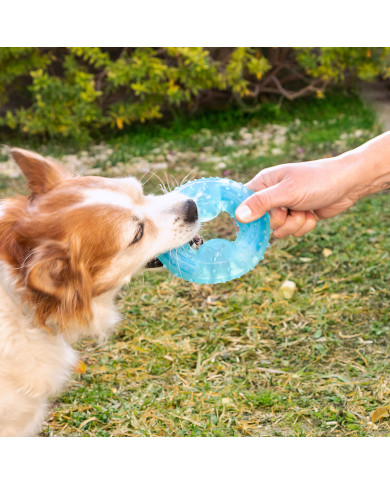 2-in-1 Freezable Pet Chew Toy Glubiz InnovaGoods