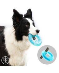 2-in-1 Freezable Pet Chew Toy Glubiz InnovaGoods